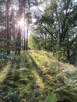  Der Kompetenzfinder – Bildungs- und Karriereberatung, Seminare, Workshops, Vorträge, Coaching