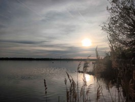  Der Kompetenzfinder – Bildungs- und Karriereberatung, Seminare, Workshops, Vorträge, Coaching