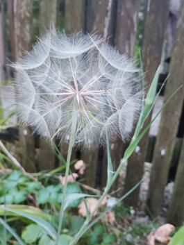  Der Kompetenzfinder – Bildungs- und Karriereberatung, Seminare, Workshops, Vorträge, Coaching
